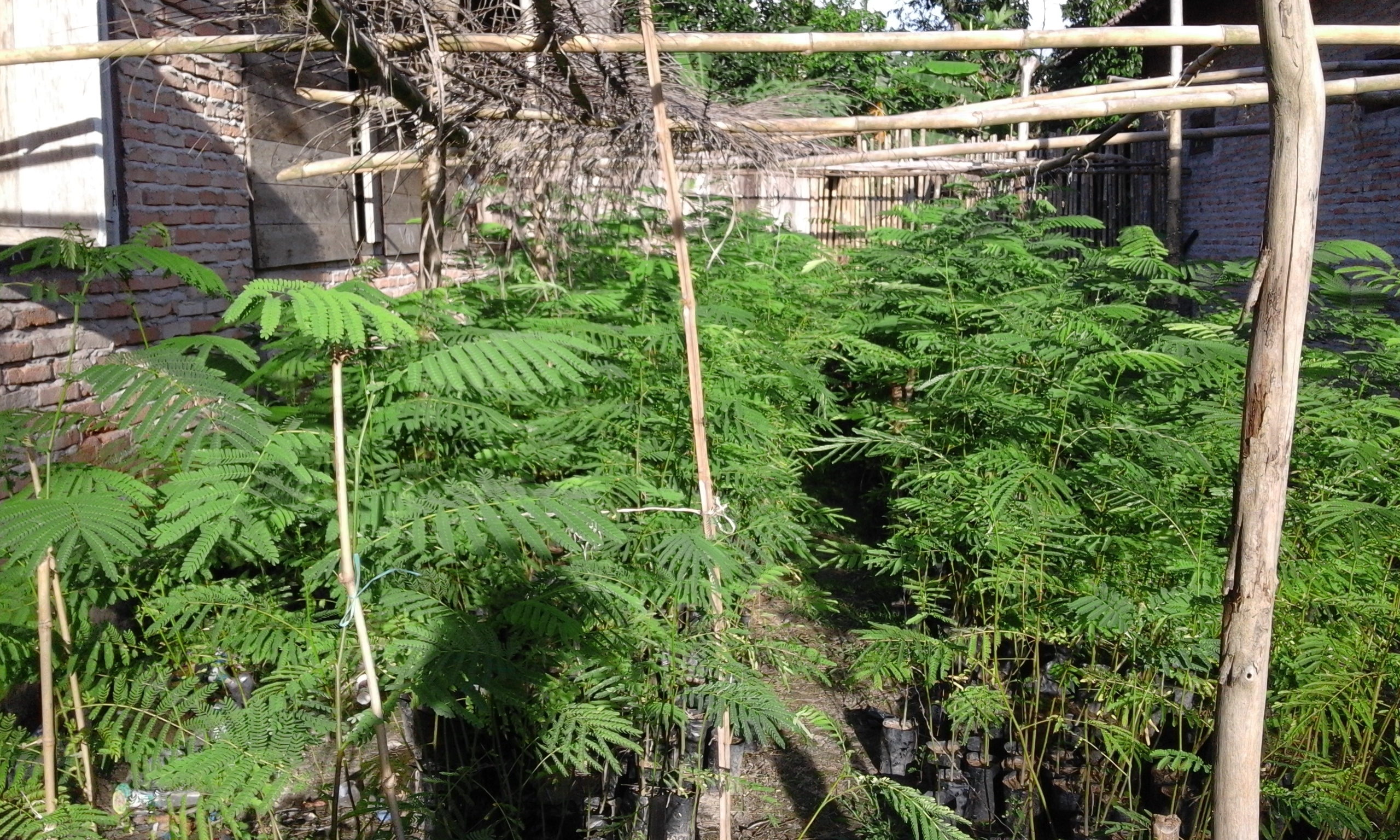 20161027_161207.jpg
